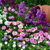 Správné terénní úpravy dvora vlastními rukama - 110 fotografií nejl...